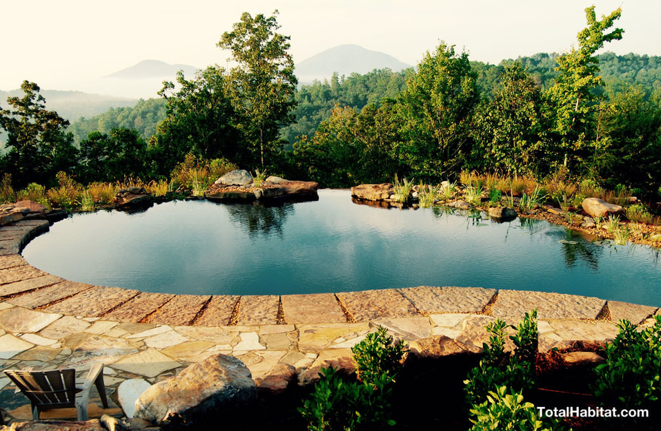 Natural Swimming Pool/Pond in the mountains