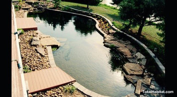 Oval Natural Swimming Pool/Pond