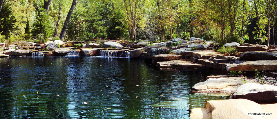 Rocky Natural Swimming Pool/Pond