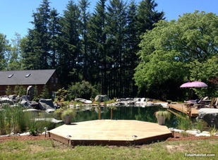 Natural Swimming Pool/Pond with two piers
