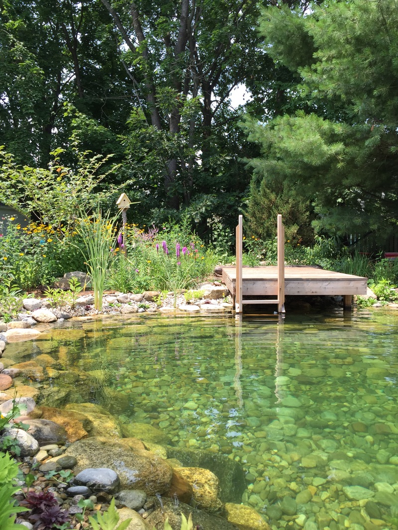 About Natural Swimming Pool Ponds