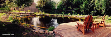 Economical Natural Swimming Pool/Pond