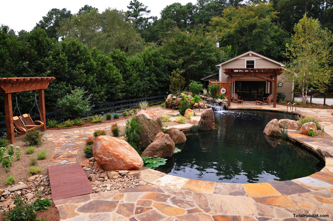 Natural Swimming Pool/Pond Backyard Oasis