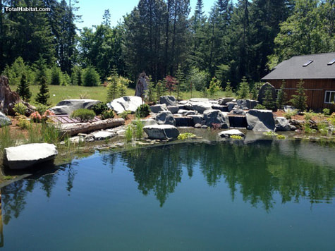Natural Swimming Pool/Pond  with Geology