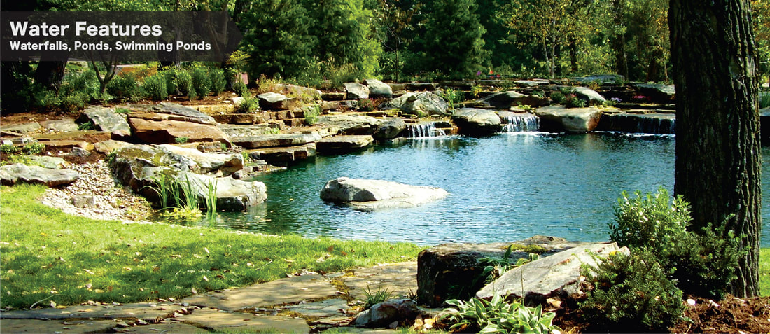 TOTAL HABITAT - Natural Swimming Pools & Ponds - Design & Fabrication  Services - Zoo Exhibits & Visitor Experiences